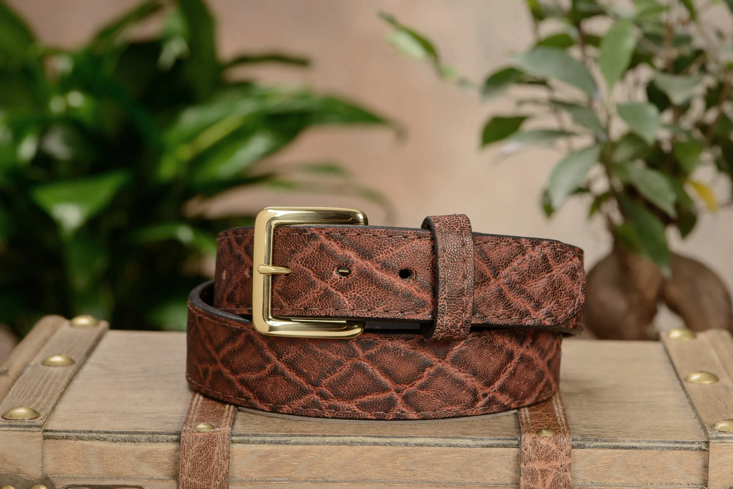 Dragon Fire Elephant Money Belt With 25" Zipper 1.50" Wide