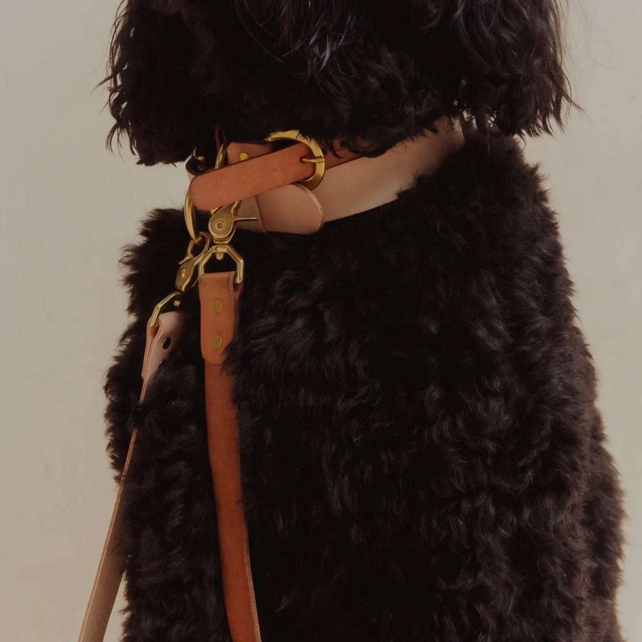 Pet Collar - Veg Tan