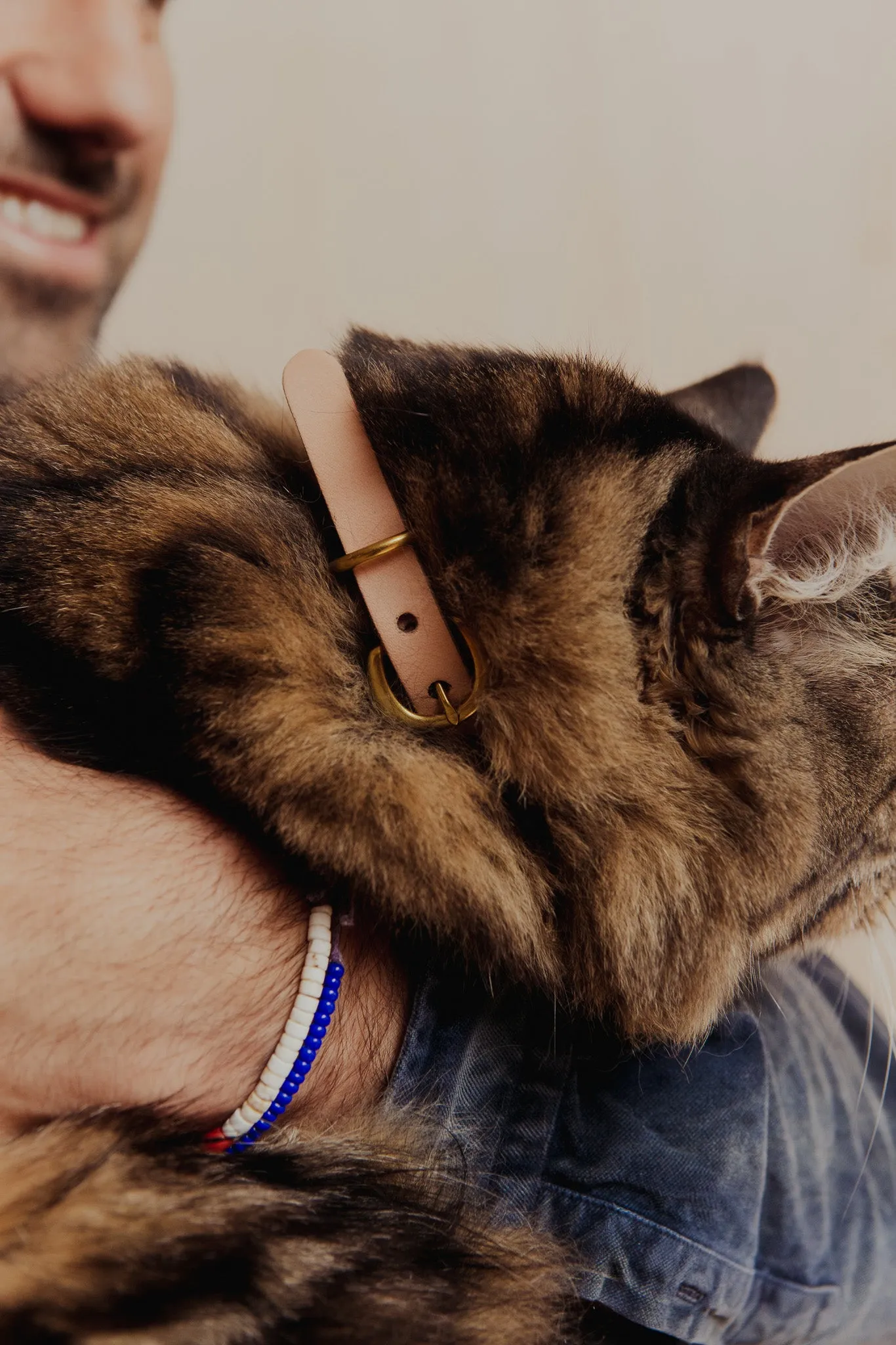 Pet Collar - Veg Tan