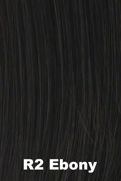 POP by Hairdo - Two Braid Extension