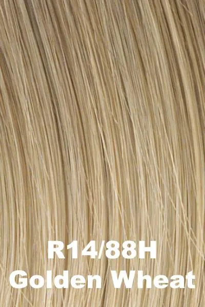 POP by Hairdo - Two Braid Extension